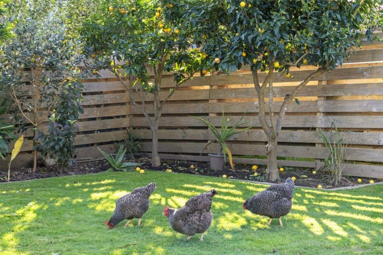 Photo of property in 16 Ranginui Road, Welcome Bay, Tauranga, 3112