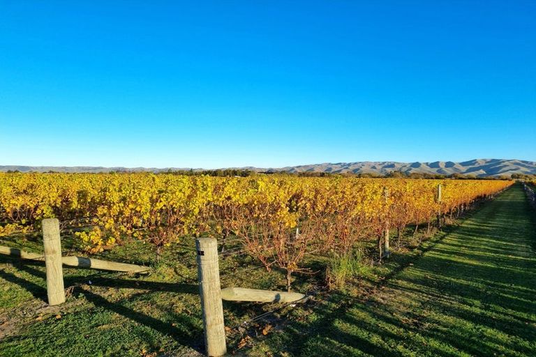 Photo of property in 344 Jones Road, Grovetown, Blenheim, 7273