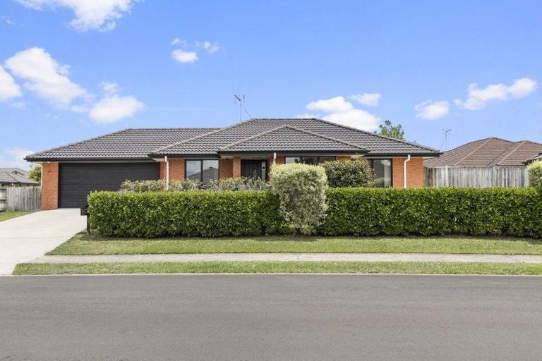 Photo of property in 30 Edgeview Crescent, Fitzroy, Hamilton, 3206