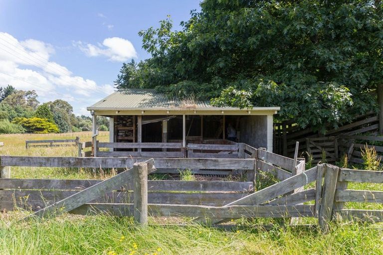 Photo of property in 109 Cole Street, Dannevirke, 4930