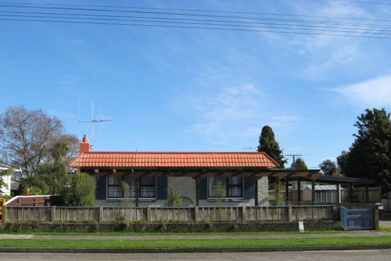 Photo of property in 117 Bartholomew Road, Levin, 5510