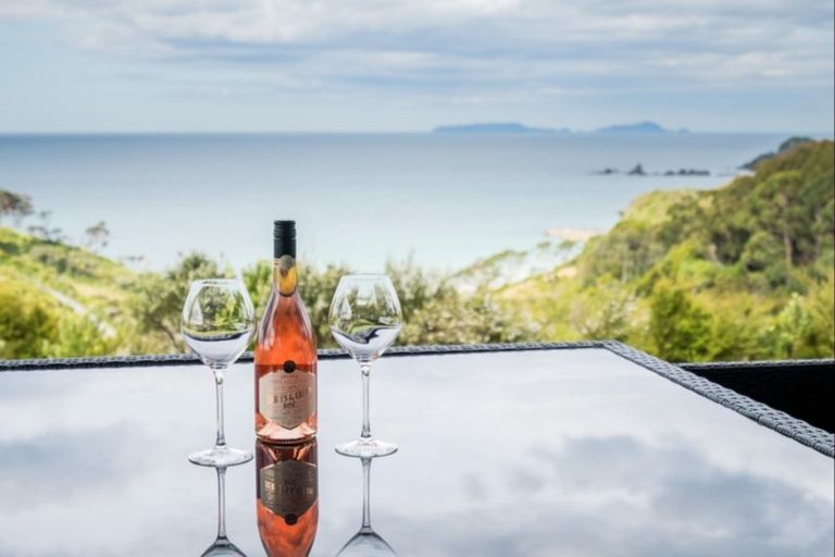 Photo of property in 64 Onekainga Rise, Whananaki, Hikurangi, 0181