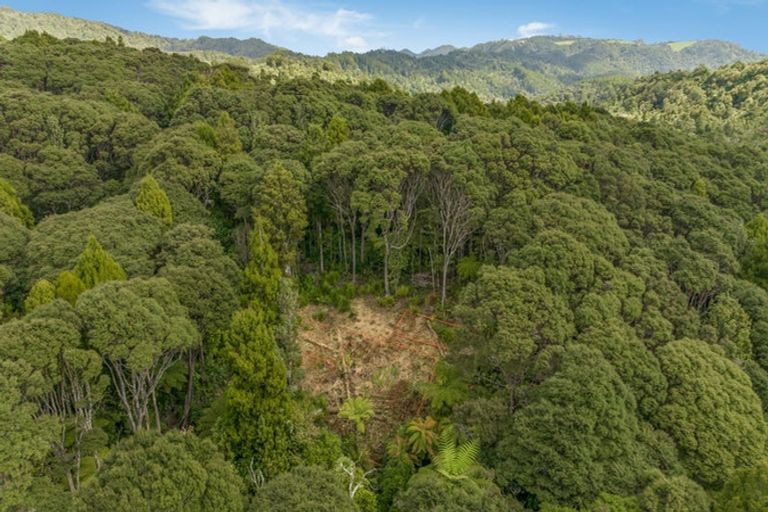 Photo of property in 252 Piha Road, Piha, 0772