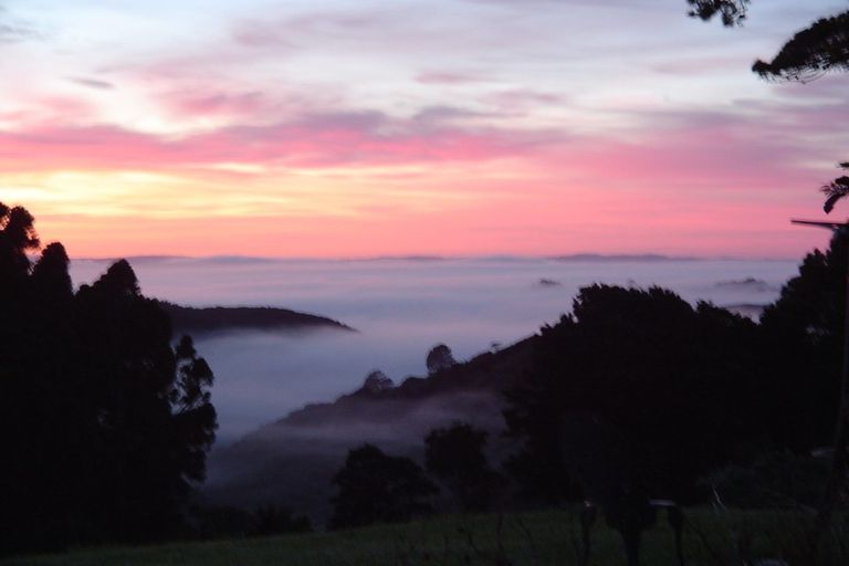 Photo of property in 265 Boiler Gully Road, Manukau Heads, Waiuku, 2684