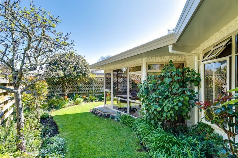 Photo of property in 20a Iona Road, Havelock North, 4130