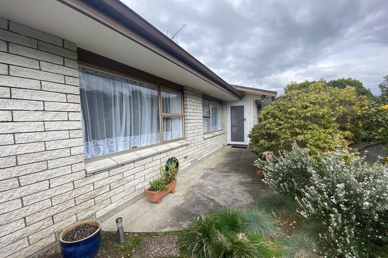 Photo of property in 15a Warrington Street, Matua, Tauranga, 3110