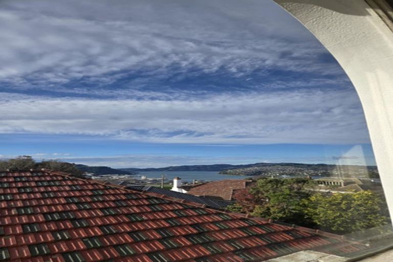 Photo of property in 5a Mcgeorge Avenue, Mornington, Dunedin, 9011