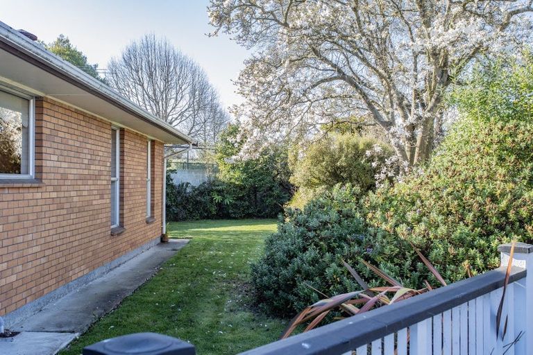 Photo of property in 50b Murray Place, St Albans, Christchurch, 8014
