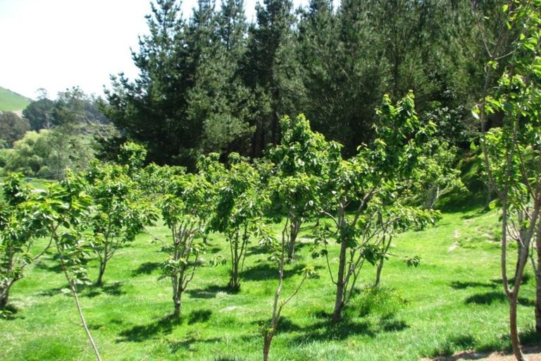 Photo of property in 4 Terrace Street, Matawai, 4075