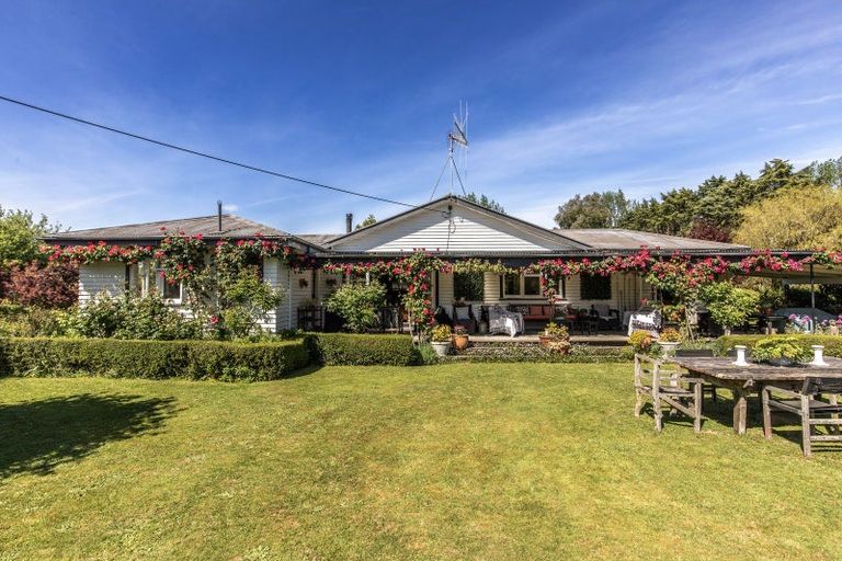Photo of property in 314 Rakaiatai Road, Ormondville, Dannevirke, 4977