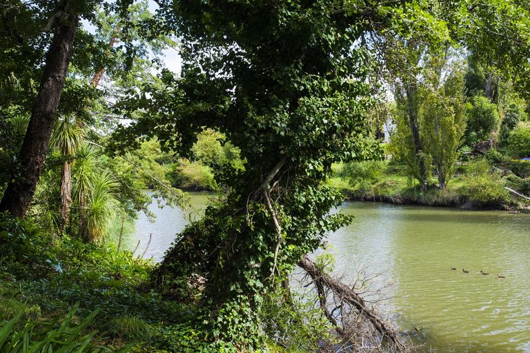 Photo of property in 44 Kelvin Street, Inner Kaiti, Gisborne, 4010