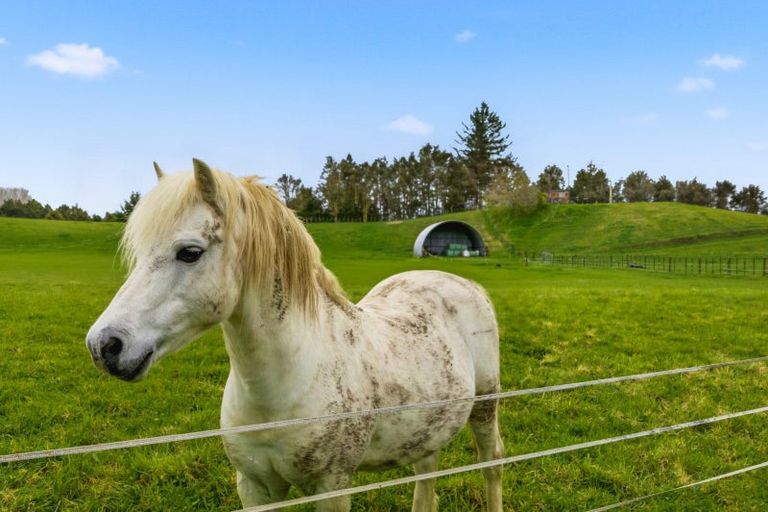 Photo of property in 5 Peter Mcintyre Street, Kakahi, Owhango, 3989