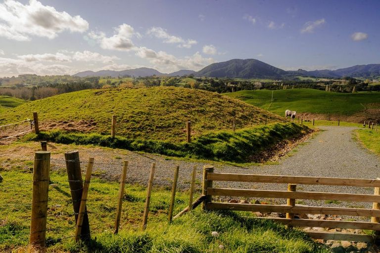 Photo of property in 117 Kaiwaka-mangawhai Road, Kaiwaka, Wellsford, 0975