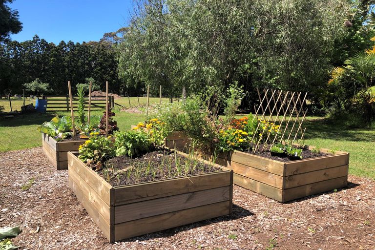 Photo of property in 17 Te Ra Road, Kaeo, Kerikeri, 0295