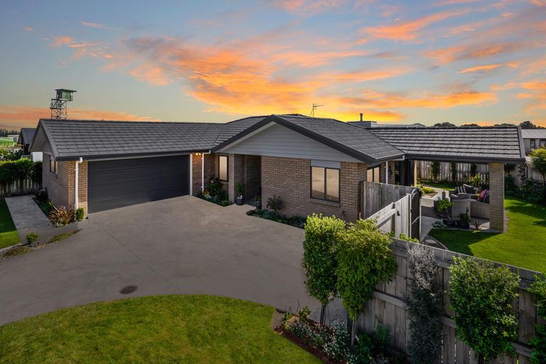 Photo of property in 46 Totara Road, Awapuni, Palmerston North, 4412