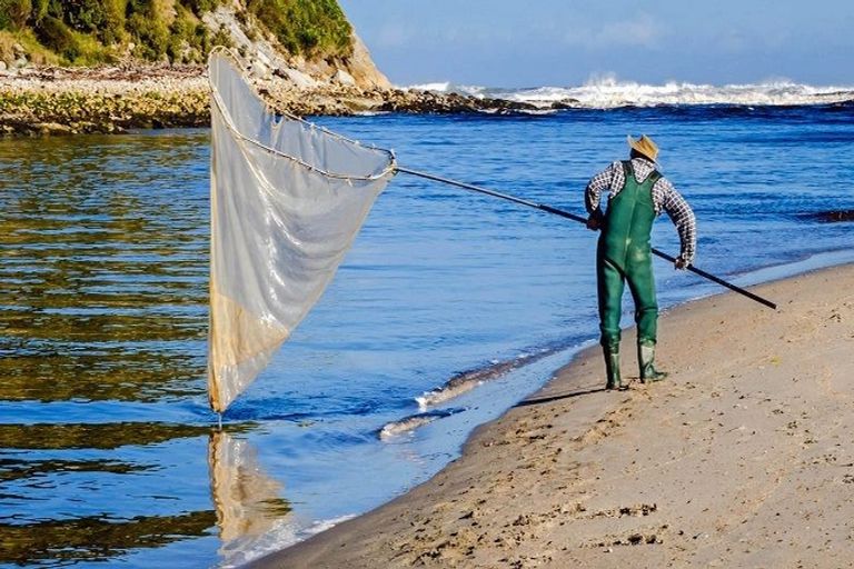 Photo of property in 4 Horncastle Crescent, Little Wanganui, Karamea, 7893