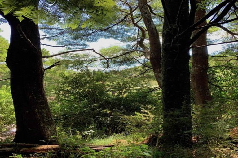 Photo of property in 443 East Takaka Road, East Takaka, Takaka, 7183