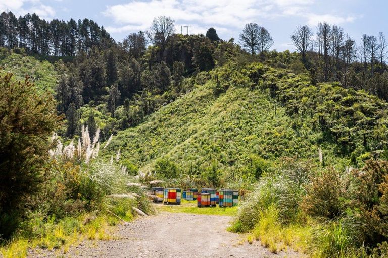 Photo of property in 316b Waitao Road, Waitao, Tauranga, 3175