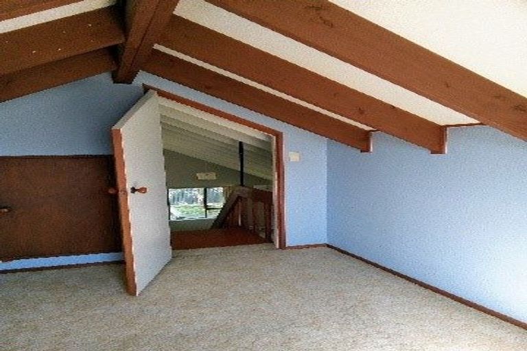 Photo of property in 902a Lyell Street, Akina, Hastings, 4122