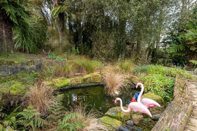 Photo of property in 88 Campbell Road, Tokoroa, 3491