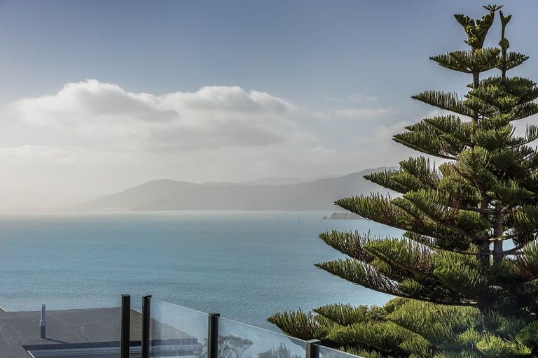 Photo of property in 40 Seatoun Heights Road, Seatoun, Wellington, 6022