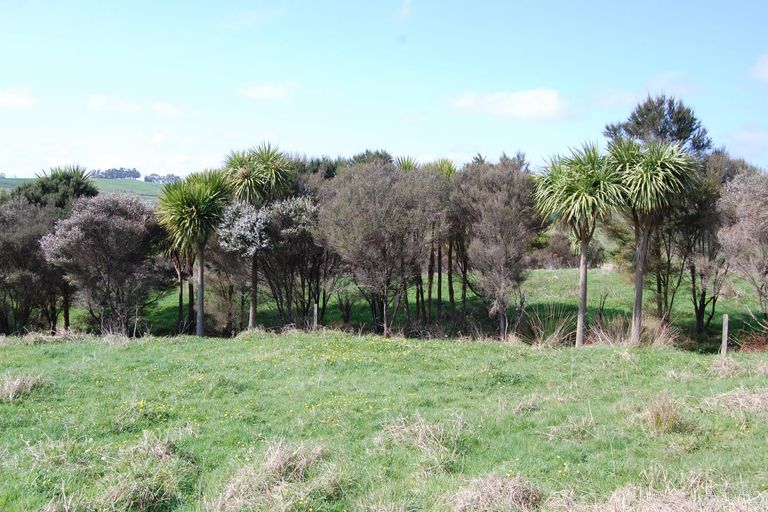Photo of property in 17 Ranganui Road, Kaiwaka, 0573