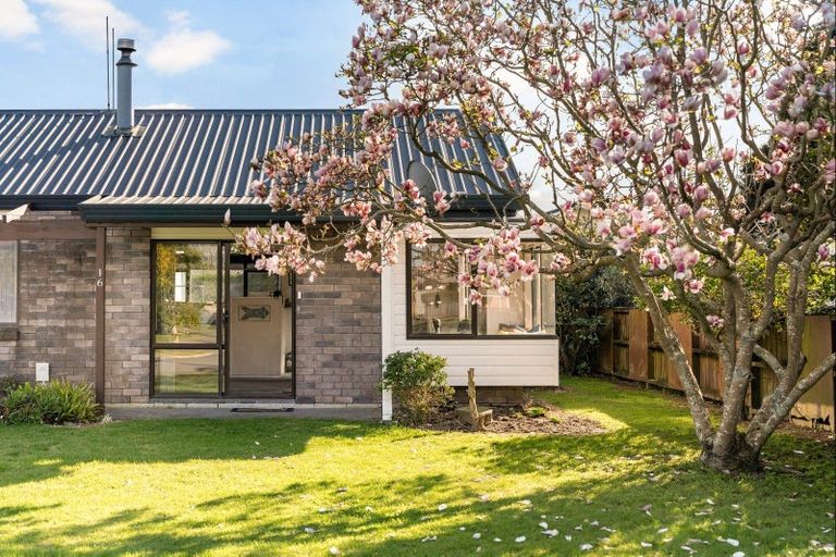 Photo of property in 16 Kane Road, Papamoa Beach, Papamoa, 3118