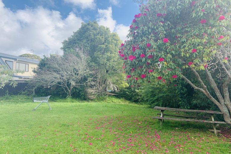 Photo of property in 117 Riverpark Crescent, Henderson, Auckland, 0610