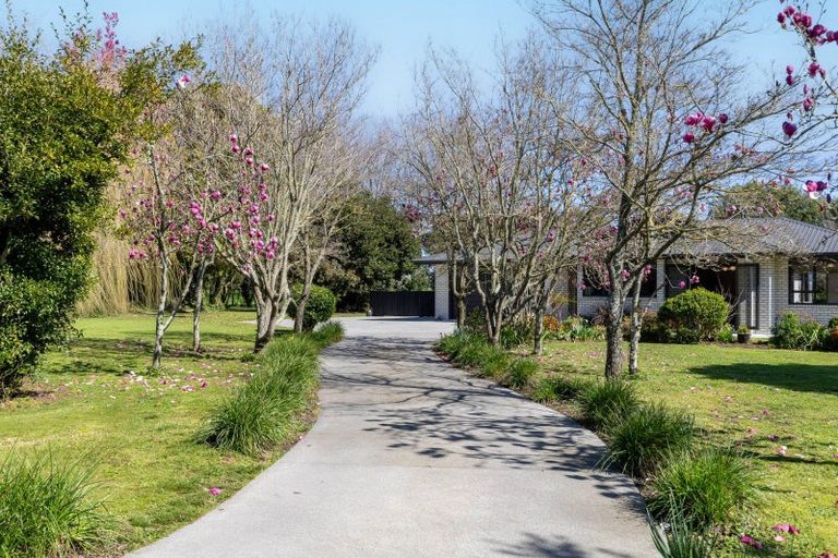 Photo of property in 895 Tauwhare Road, Tauwhare, Hamilton, 3287