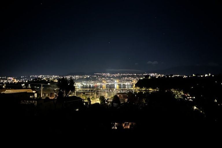 Photo of property in 17 Jeffery Street, Andersons Bay, Dunedin, 9013
