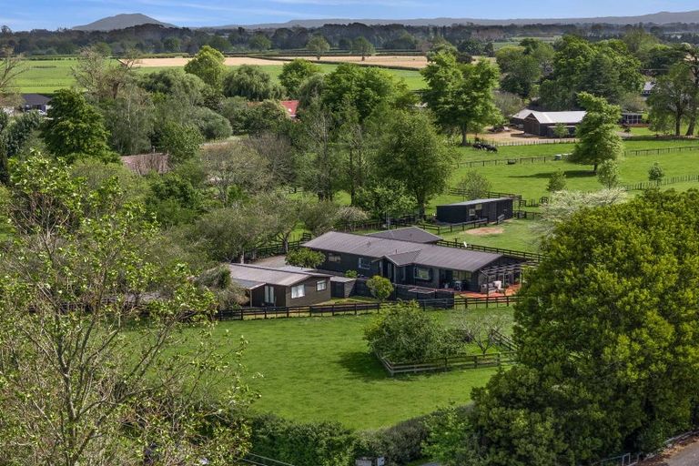 Photo of property in 43 Forrest Road, Cambridge, 3493