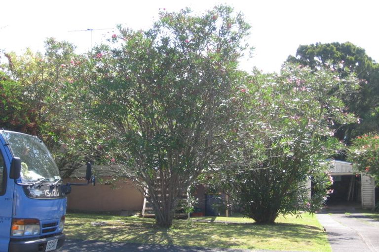 Photo of property in 53 Newhaven Terrace, Mairangi Bay, Auckland, 0630