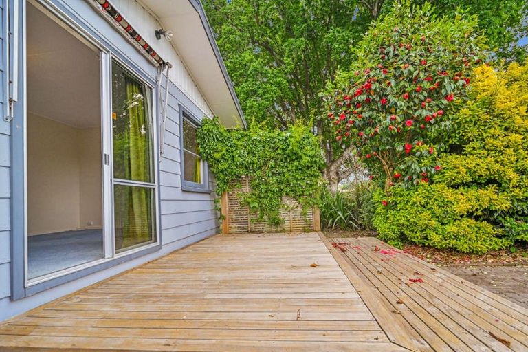 Photo of property in 19 Melville Street, Waipawa, 4210