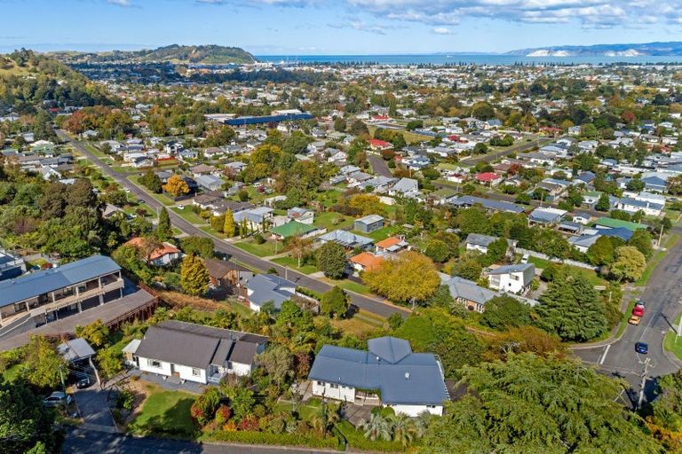 Photo of property in 1 Belgium Terrace, Mangapapa, Gisborne, 4010