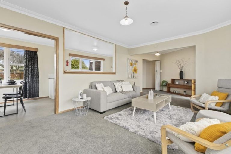 Photo of property in 117 Cameron Road, Te Puke, 3119