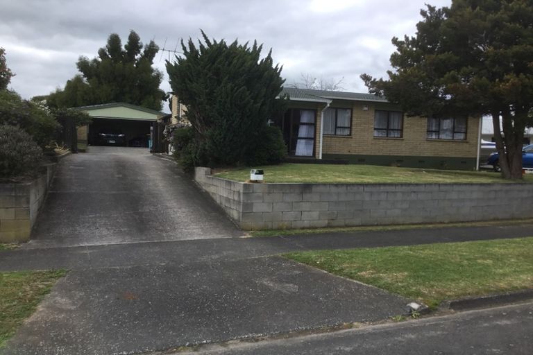 Photo of property in 67 Young Street, Morrinsville, 3300