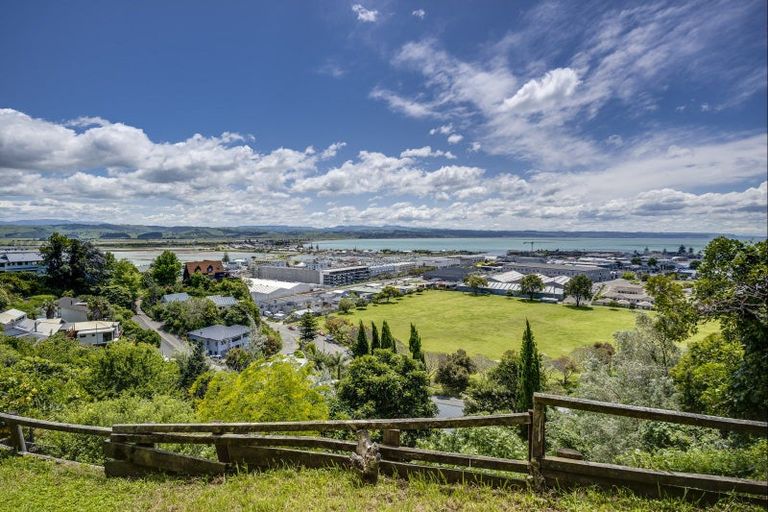 Photo of property in 28 Hospital Terrace, Hospital Hill, Napier, 4110