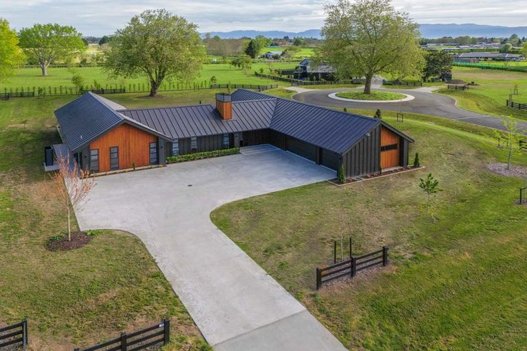 Photo of property in 7 Orchard Place, Matamata, 3472