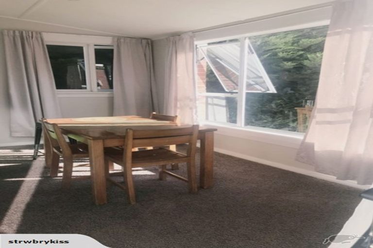 Photo of property in 55 Forfar Street, Clyde Hill, Dunedin, 9011