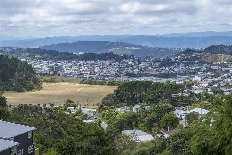 Photo of property in 45 Farnham Street, Mornington, Wellington, 6021