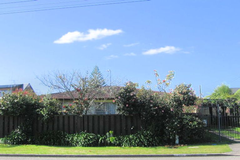 Photo of property in 20a Hawea Street, Mount Maunganui, 3116