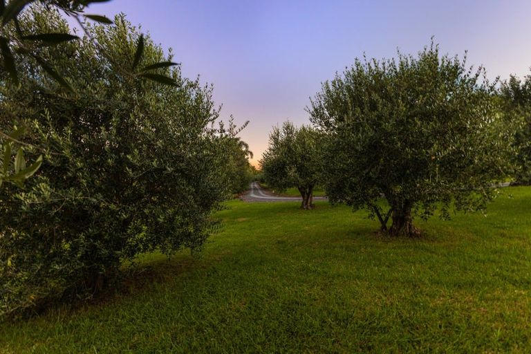 Photo of property in 30 Wiroa Road, Kerikeri, 0293