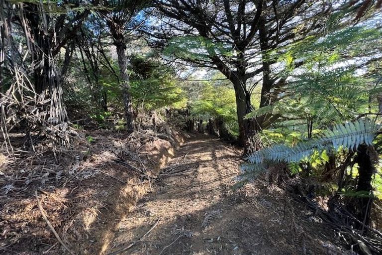 Photo of property in 211 Krippner Road, Puhoi, Warkworth, 0994