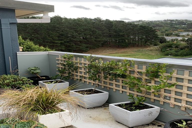 Photo of property in 566n Adelaide Road, Berhampore, Wellington, 6023