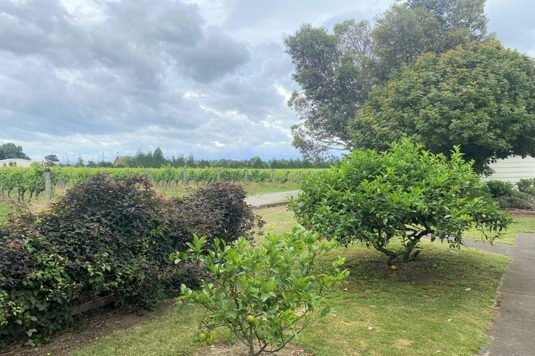 Photo of property in 159 Regent Street, Martinborough, 5711