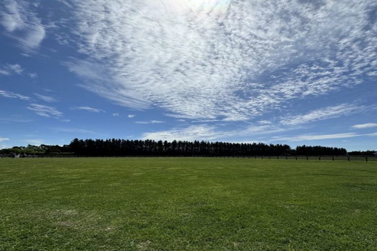 Photo of property in 17 Beal Place, Swannanoa, 7692