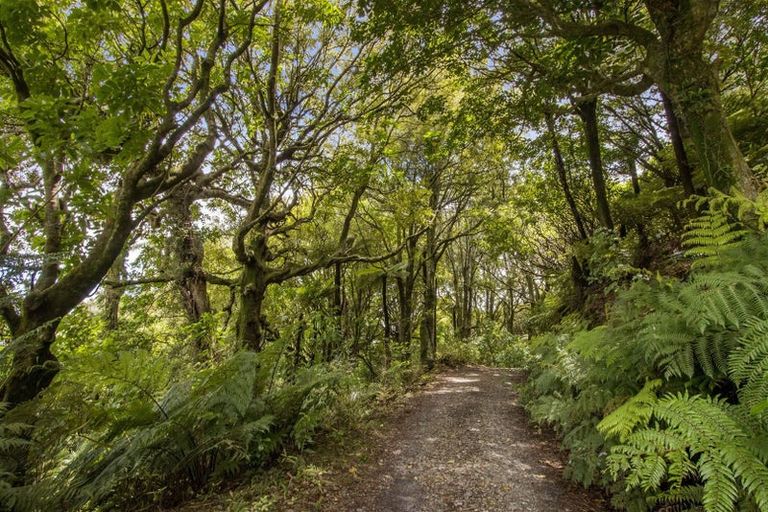 Photo of property in 166b Heard Road, Waihi, 3681