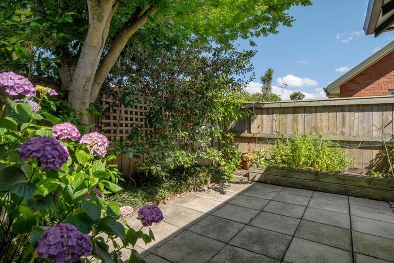 Photo of property in 15 Ward Street, Springlands, Blenheim, 7201