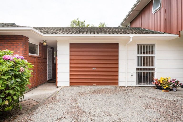 Photo of property in 45 Dittmer Drive, Awapuni, Palmerston North, 4412