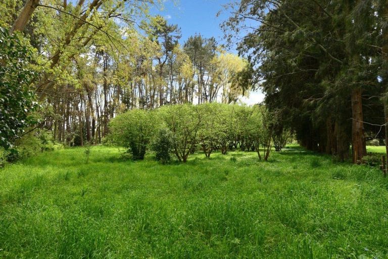 Photo of property in 803f Bruntwood Road, Tamahere, Hamilton, 3283